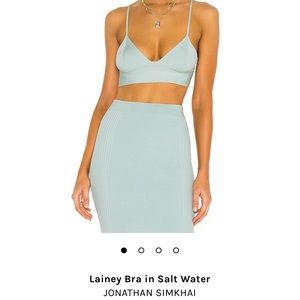 JONATHAN SIMKHAI Lainey Bra in Salt Water (NWT, sold out, size medium)
